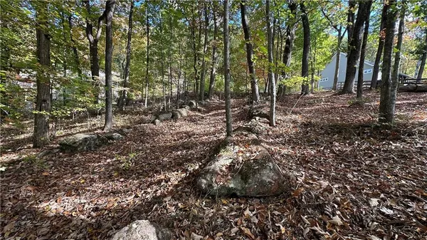 a view of forest