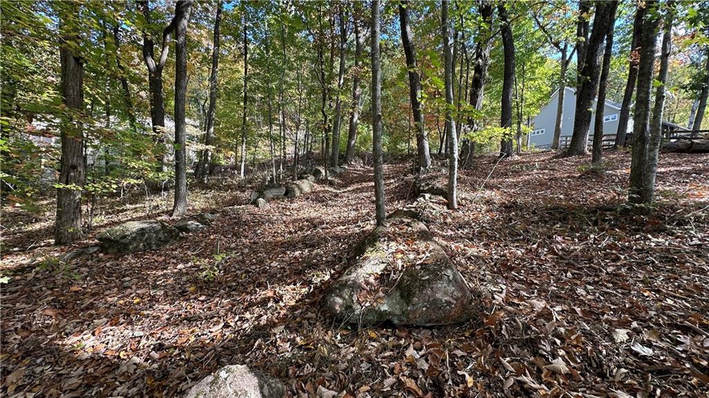 Lot 28 Long Mountain Road Cleveland, GA 30528 - Photo 18 of 22 a view of forest