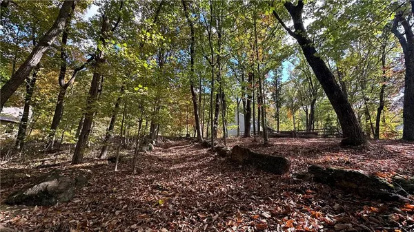 a view of a tree in the middle of a yard