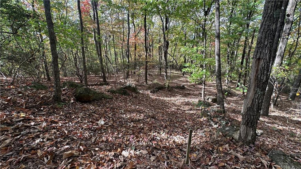 Lot 28 Long Mountain Road Cleveland, GA 30528 - Photo 20 of 22 a view of forest