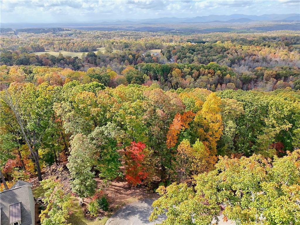Lot 28 Long Mountain Road Cleveland, GA 30528 - Photo 2 of 22 view of city and mountain
