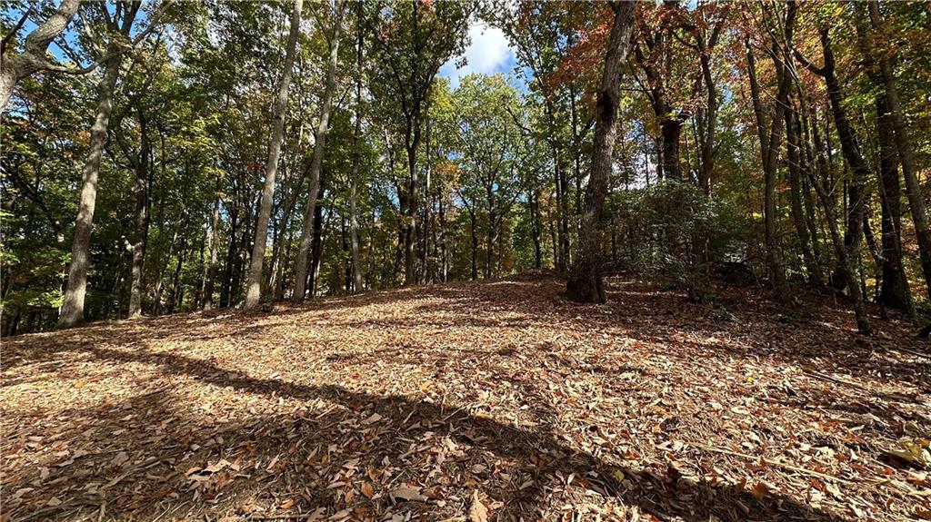 Lot 28 Long Mountain Road Cleveland, GA 30528 - Photo 21 of 22 a view of outdoor space with trees