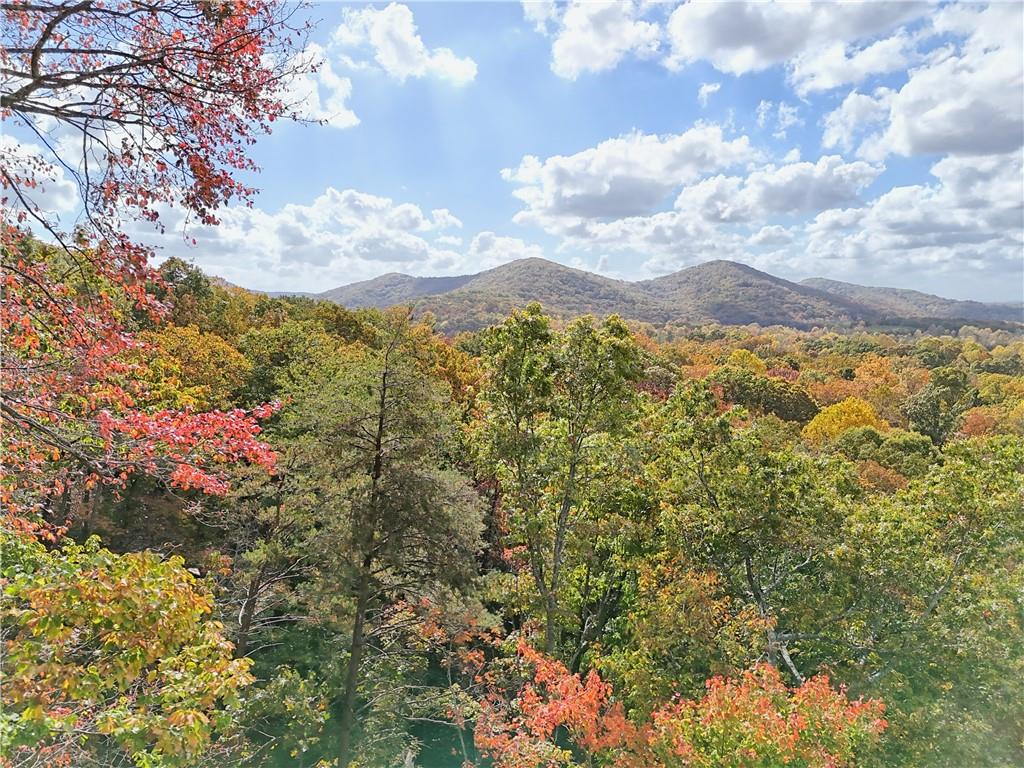 Lot 28 Long Mountain Road Cleveland, GA 30528 - Photo 5 of 22 a view of a lot of a house