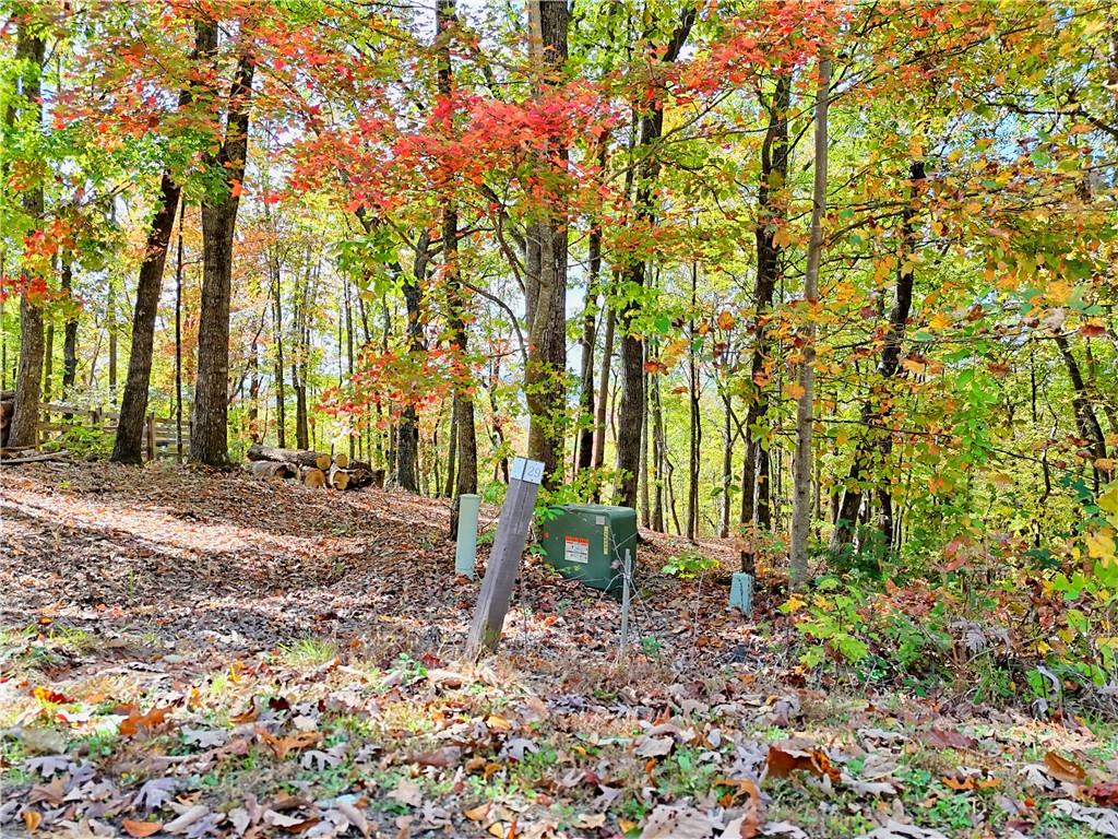 Lot 28 Long Mountain Road Cleveland, GA 30528 - Photo 6 of 22 a view of yard