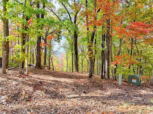 a view of a backyard with large trees