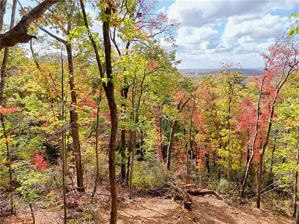 Lot 28 Long Mountain Road Cleveland, GA 30528 - Photo 8 of 22 a view of under construction area