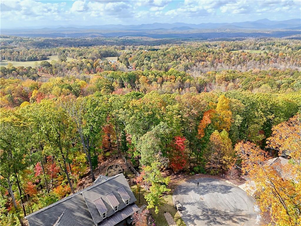 Lot 28 Long Mountain Road Cleveland, GA 30528 - Photo 10 of 22 a view of roof view