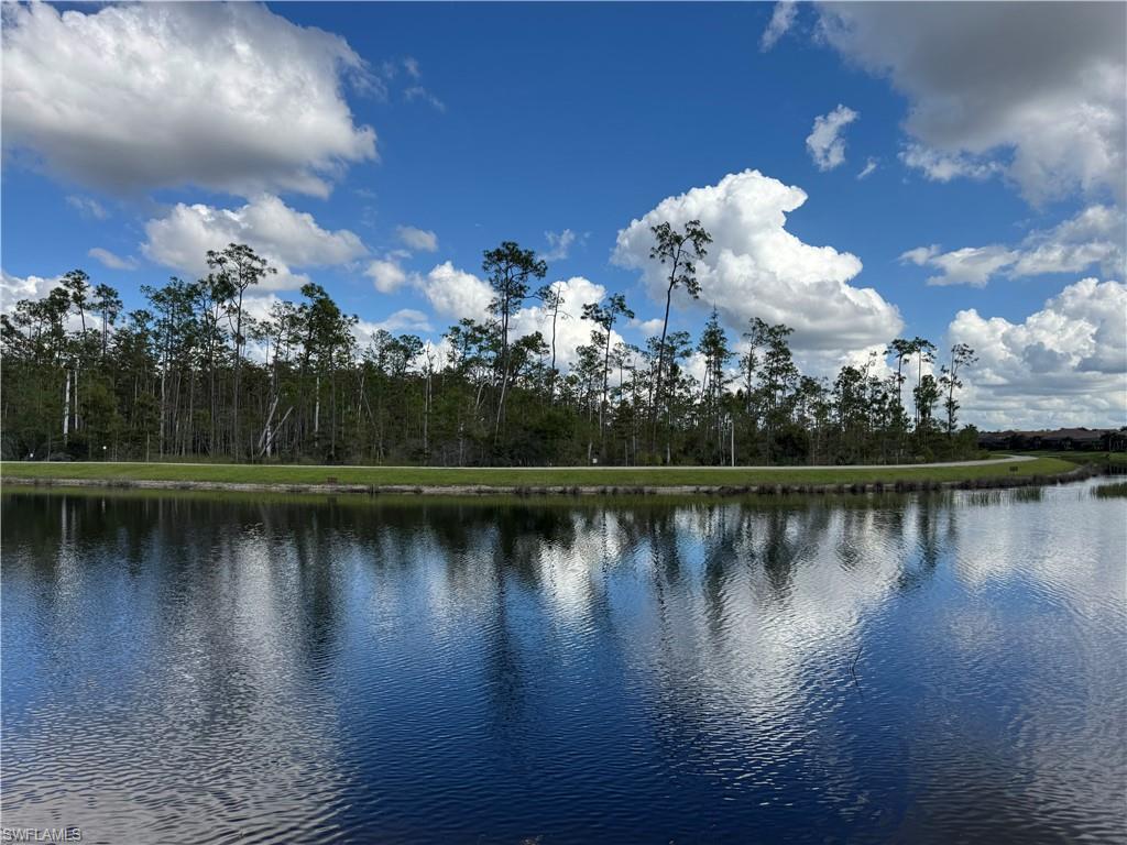 9470 Galliano Terrace Naples, FL 34119 - Photo 48 of 49 a view of a lake with a house in the background