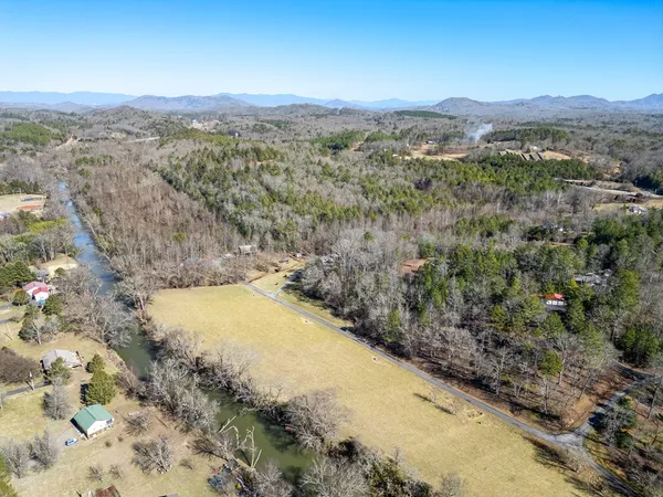 a view of a forest with mountains in the background
