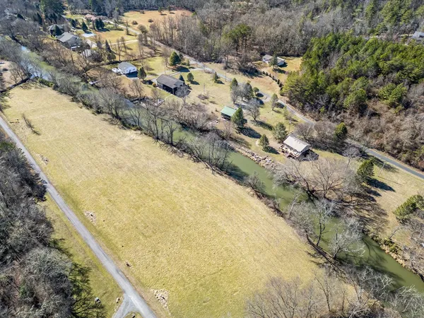 a view of a yard with a tree