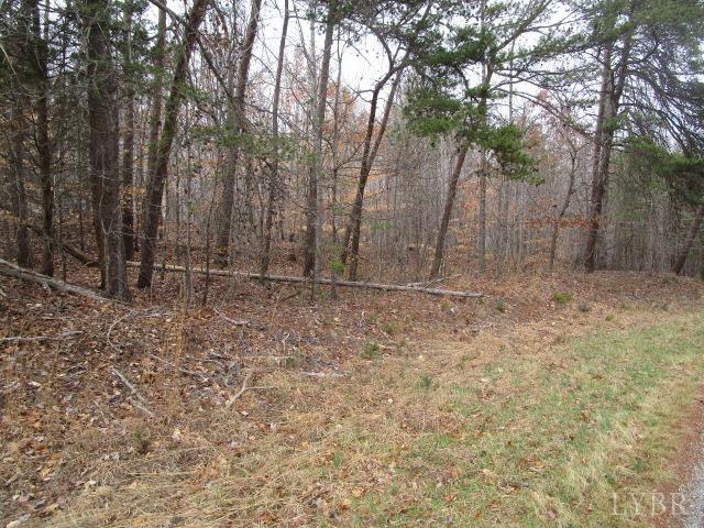 0 Summerset Road North Gretna, VA 24557 - Photo 8 of 13 Gallery Image 8
