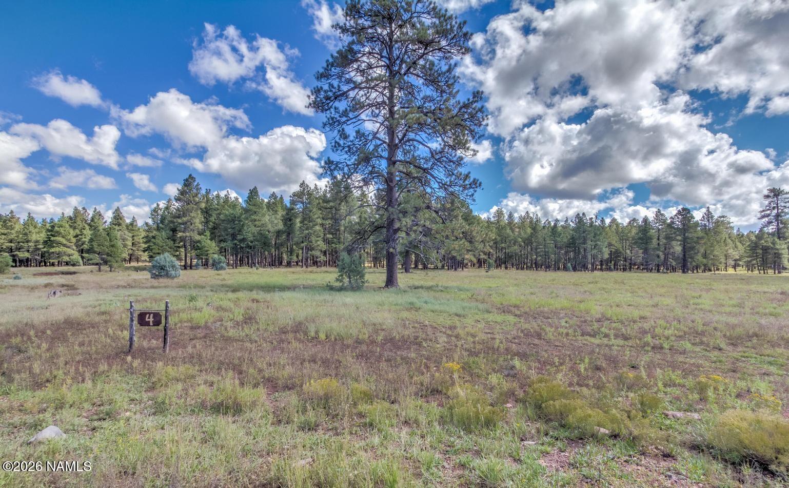 307 East Foxboro Road Munds Park, AZ 86017 - Photo 2 of 3 2
