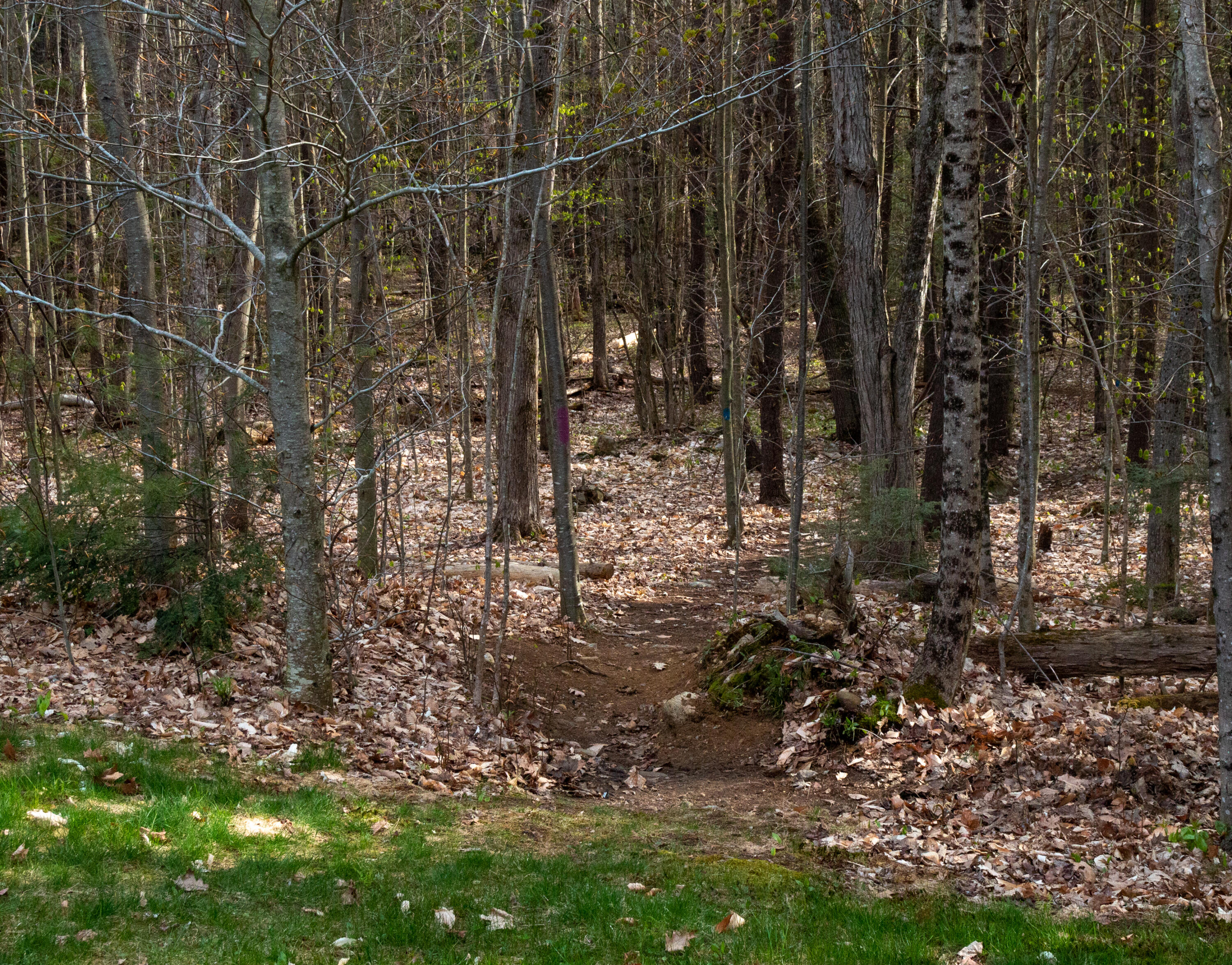 19 Yeaton Hill Road Springvale, ME 04083 - Photo 43 of 43 Smith Nature Trais (1 of 4)