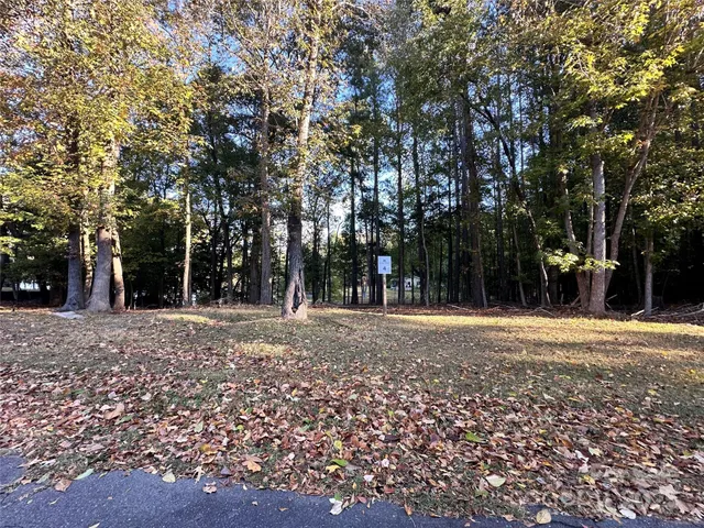 a view of a trees in a yard