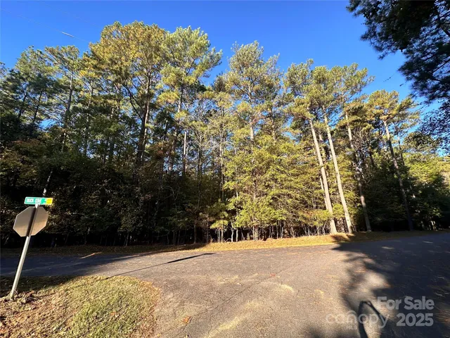 a view of a backyard of the house