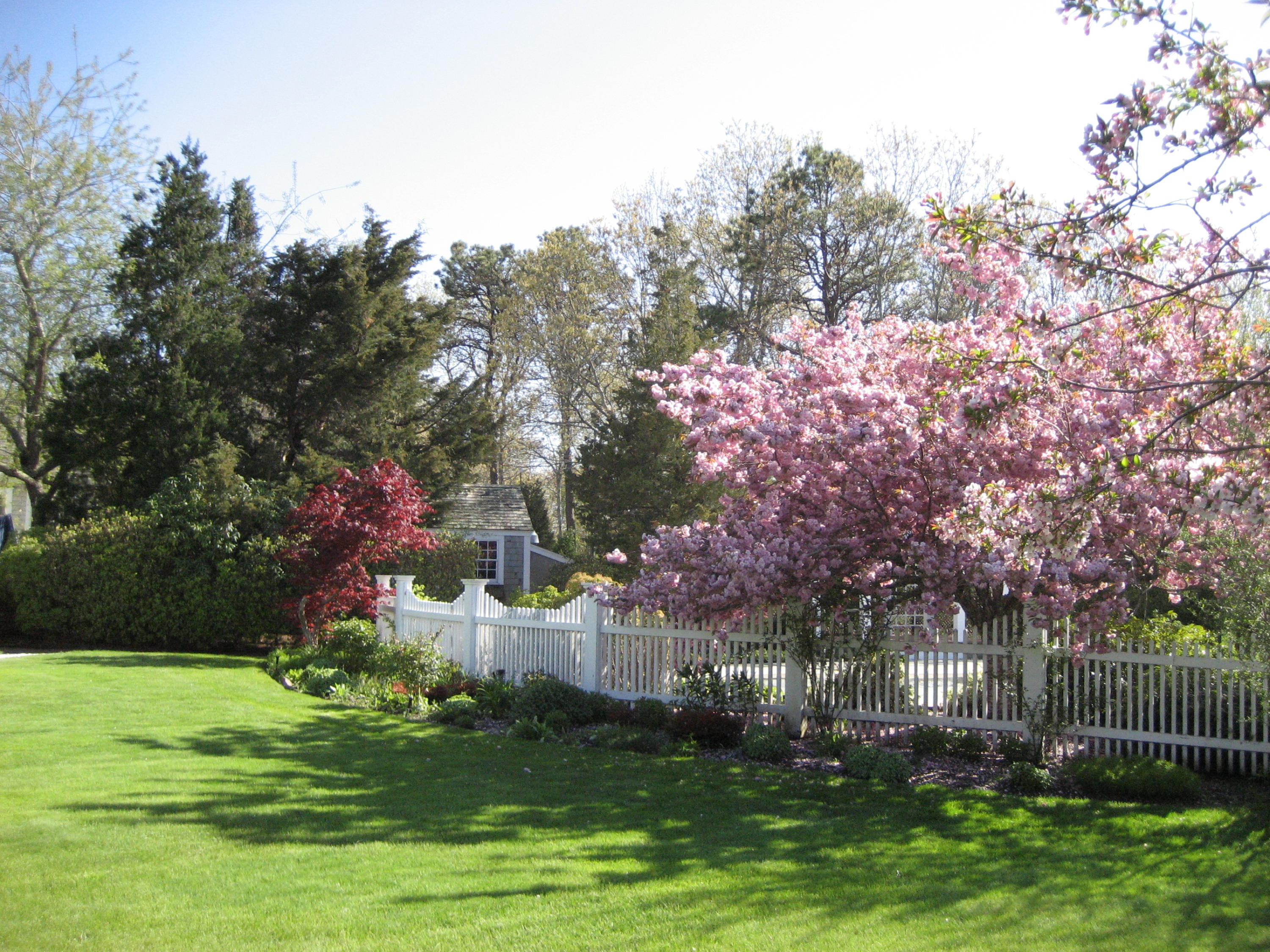 14 Ice Valley Road Osterville, MA 02655 - Photo 28 of 35 a backyard of a house with lots of green space