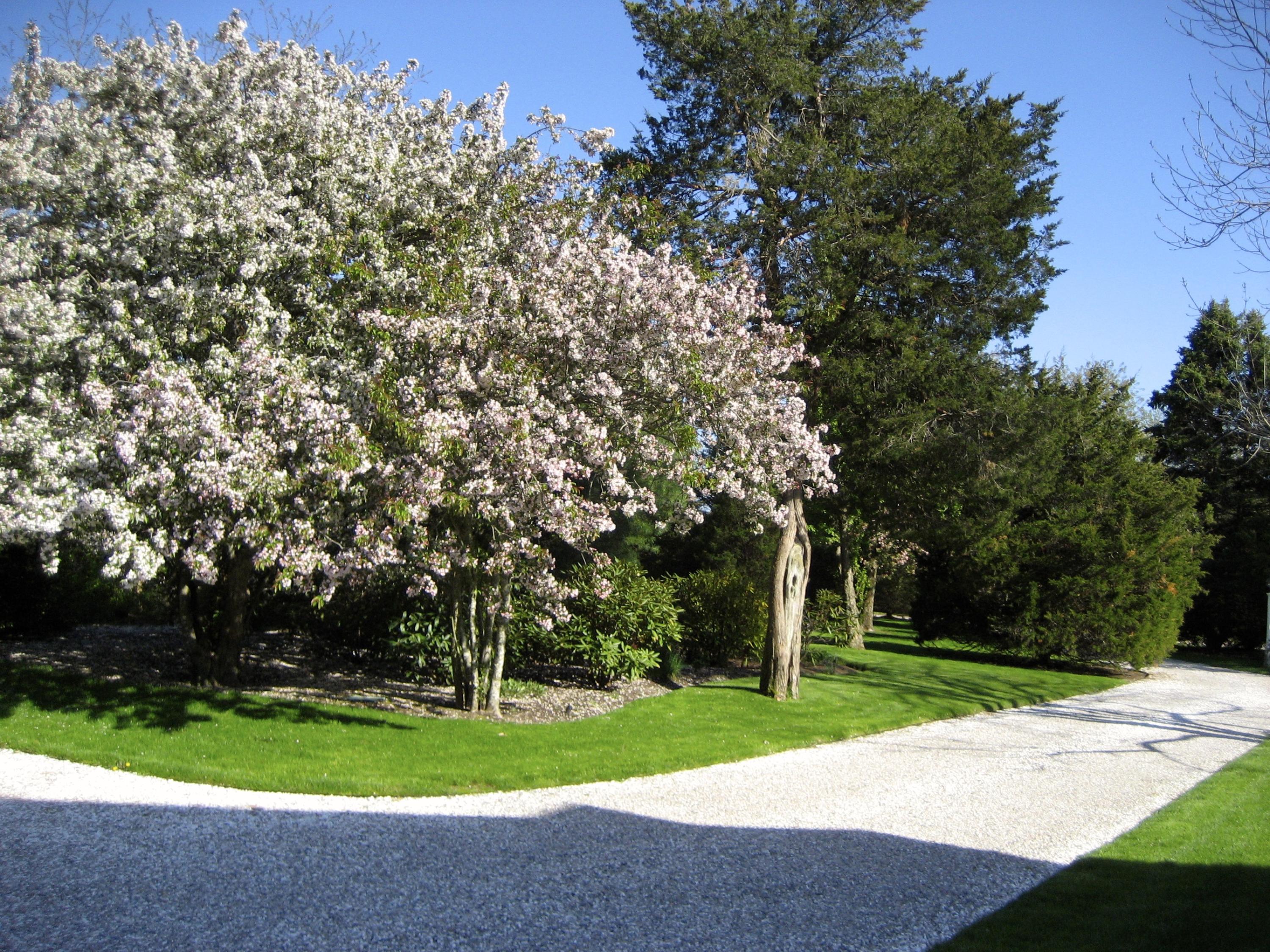14 Ice Valley Road Osterville, MA 02655 - Photo 29 of 35 a view of a park with large trees