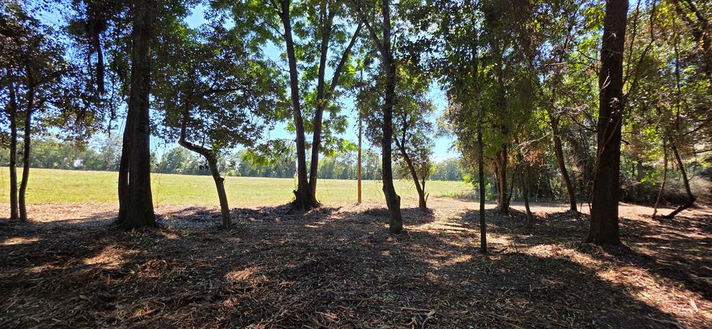 Lot 7 Acres Grady Garner Road Slocomb, AL 36375 - Photo 7 of 58