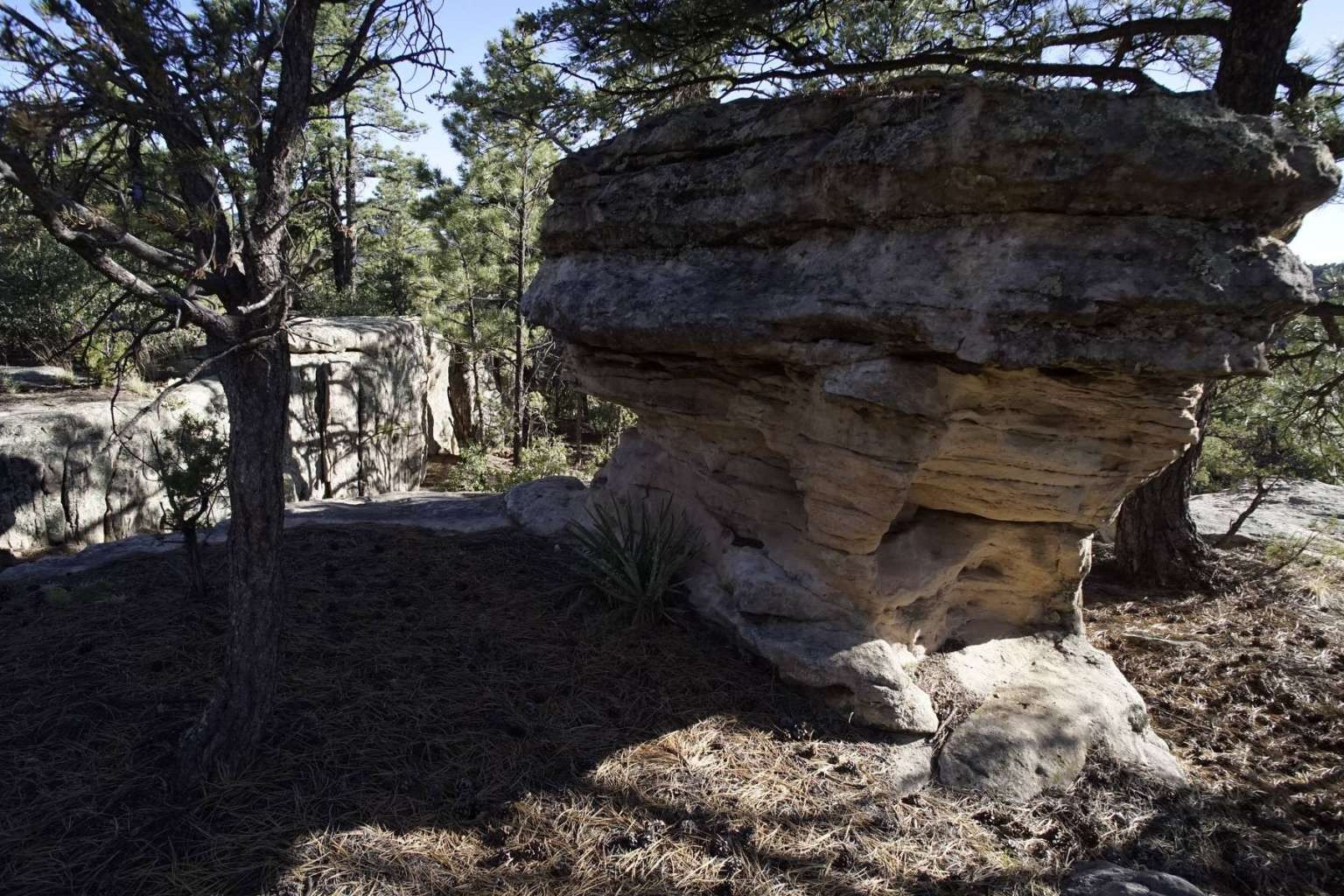 0 Pinon Ridge Road Pecos, NM 87552 - Photo 15 of 39