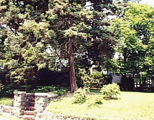 741 West Fingerboard Road Staten Island, NY 10305 - Photo 1 of 1 Primary Photo