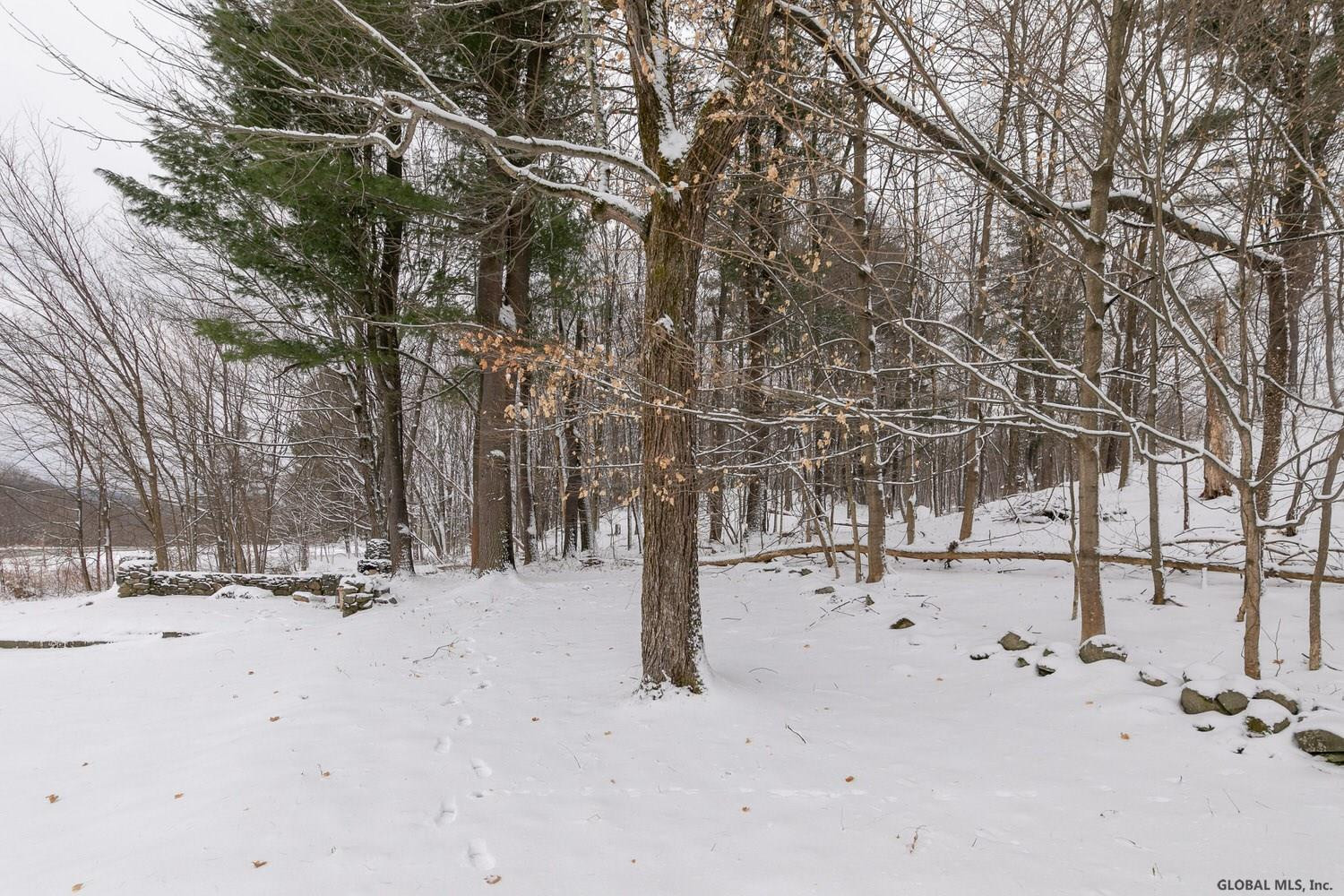 1635 Spring Avenue Wynantskill, NY 12198 - Photo 39 of 46 Photo 39