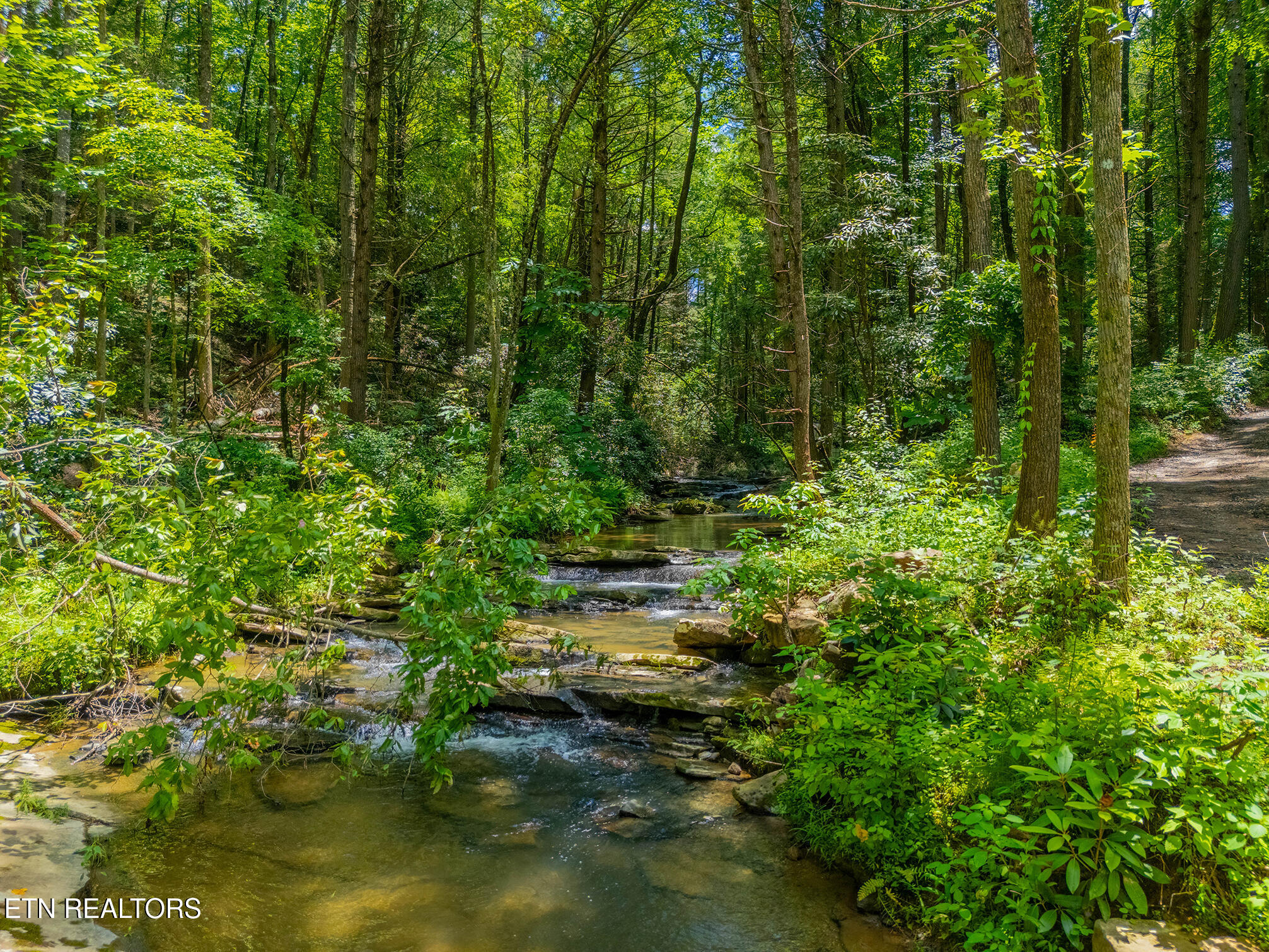 118 Authorn Sheldon Road Harriman, TN 37748 - Photo 10 of 59 24 - DJI_20250617141925_0934_D-HDR