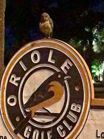 an outdoor view of a fireplace