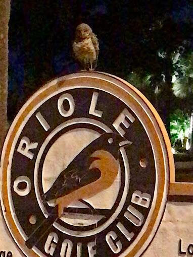 1010 Country Club Drive, Unit 108 Margate, FL 33063 - Photo 12 of 19 an outdoor view of a fireplace