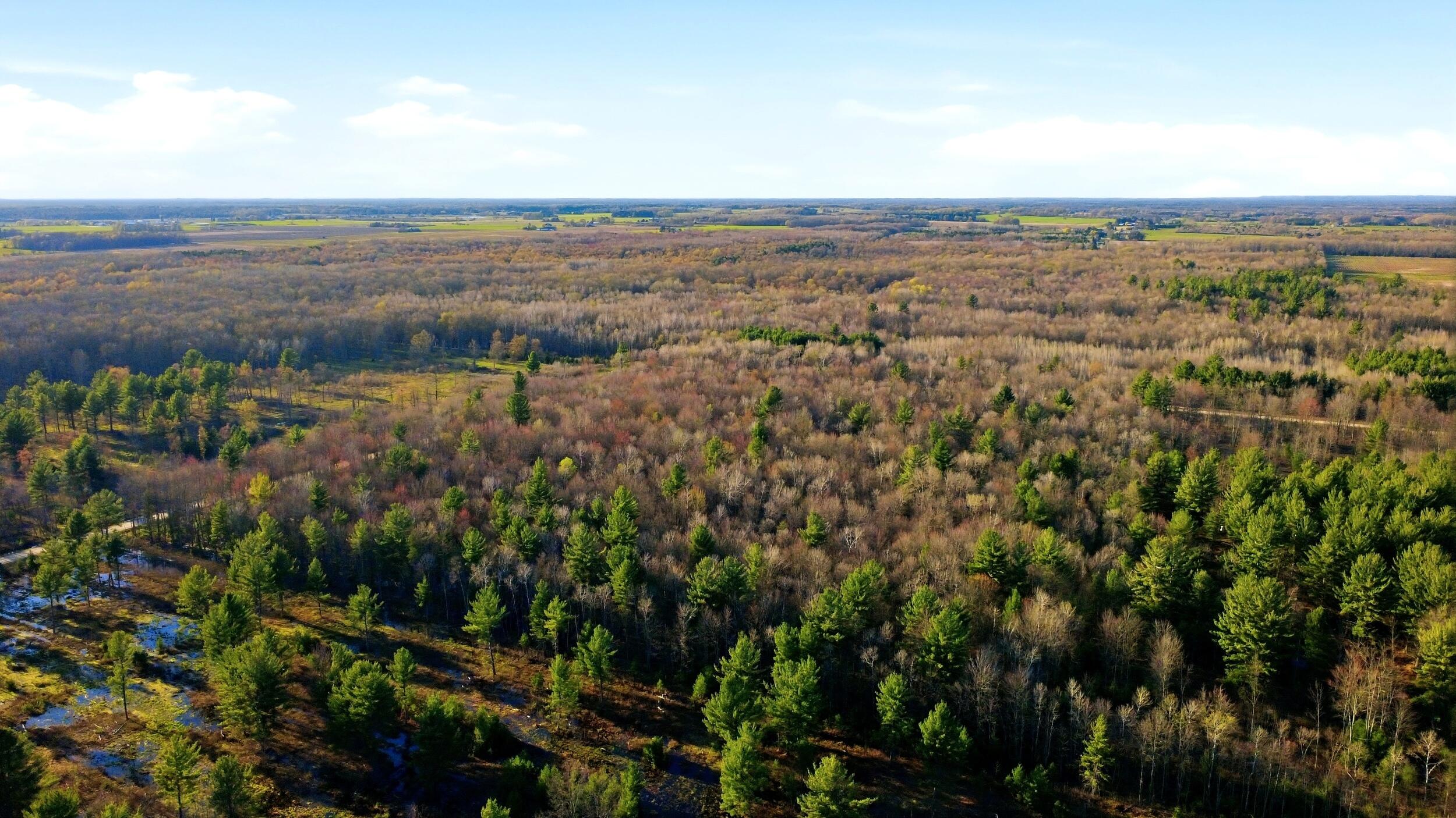 123 West Beyer Road Free Soil, MI 49411 - Photo 15 of 18 17_14