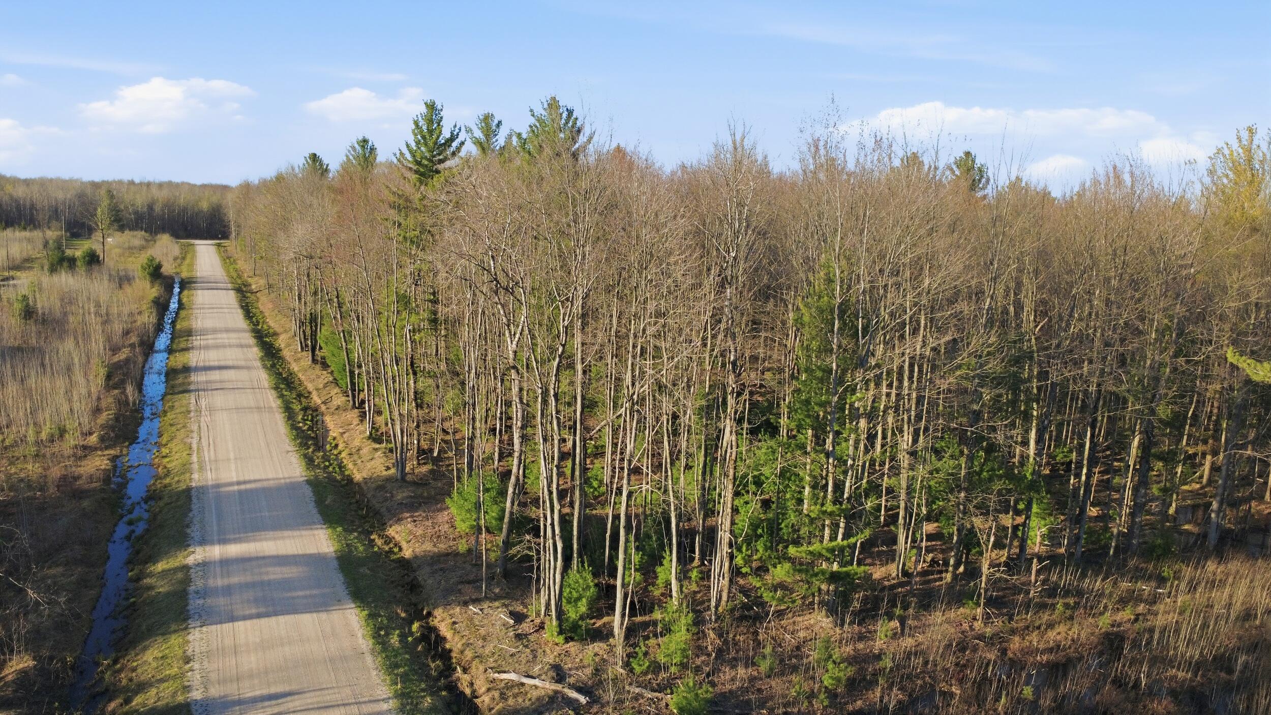 123 West Beyer Road Free Soil, MI 49411 - Photo 18 of 18 26_23