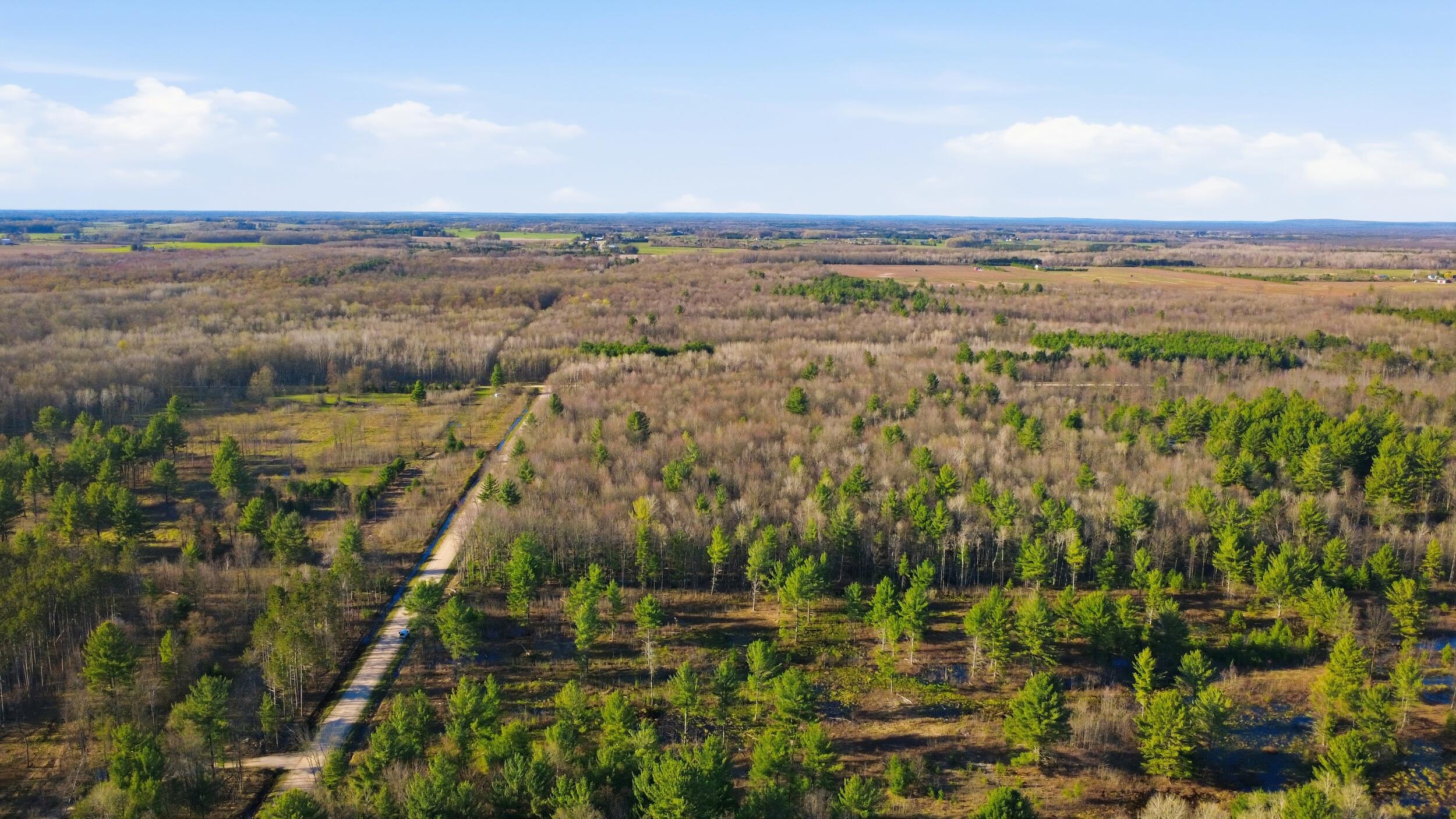 123 West Beyer Road Free Soil, MI 49411 - Photo 9 of 18 9_1