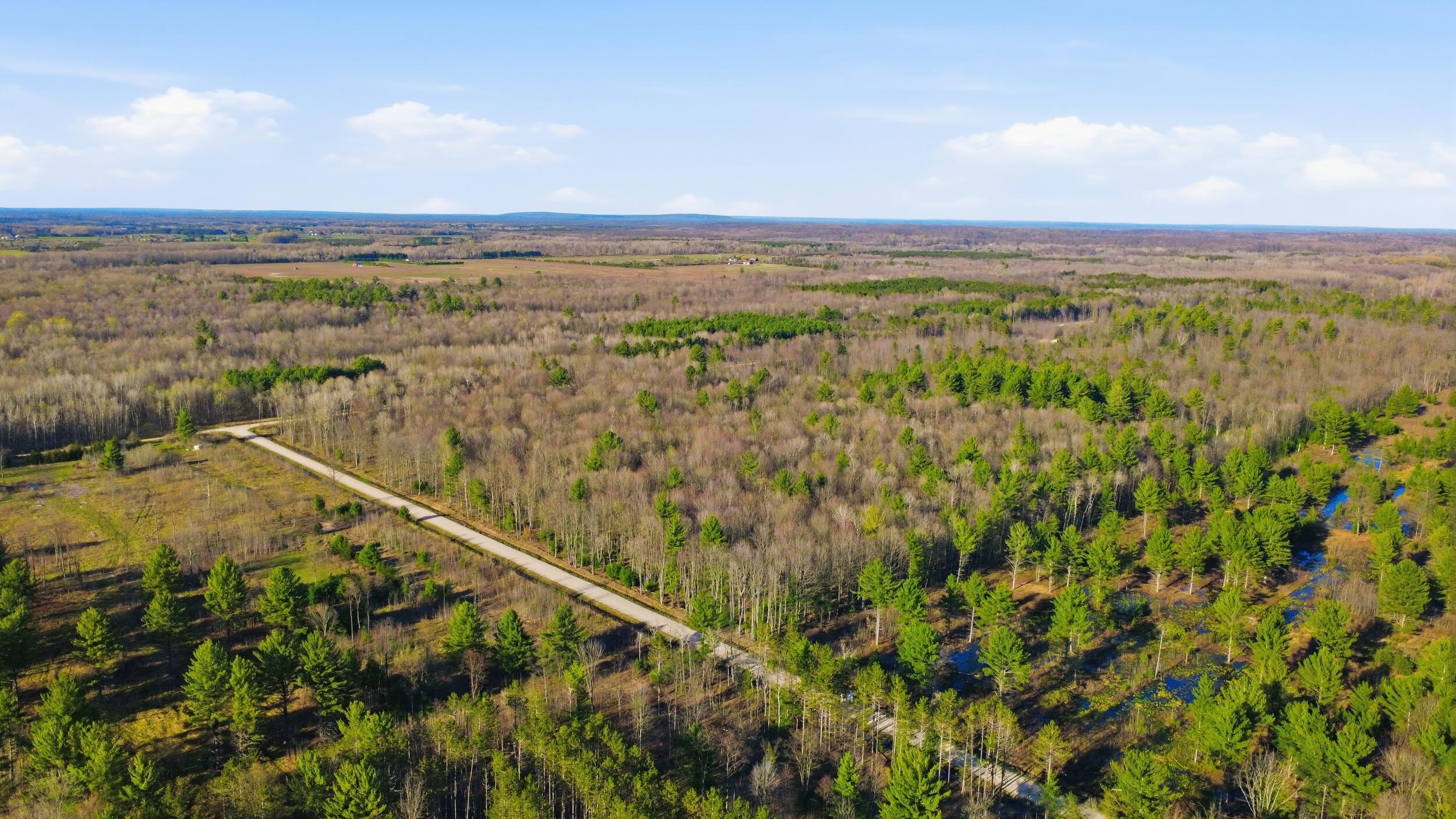 123 West Beyer Road Free Soil, MI 49411 - Photo 10 of 18 10_2