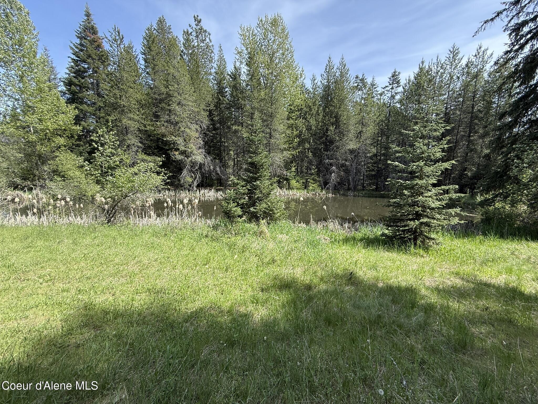 10334 Sanders Road Tensed, ID 83870 - Photo 41 of 69 IMG_8010