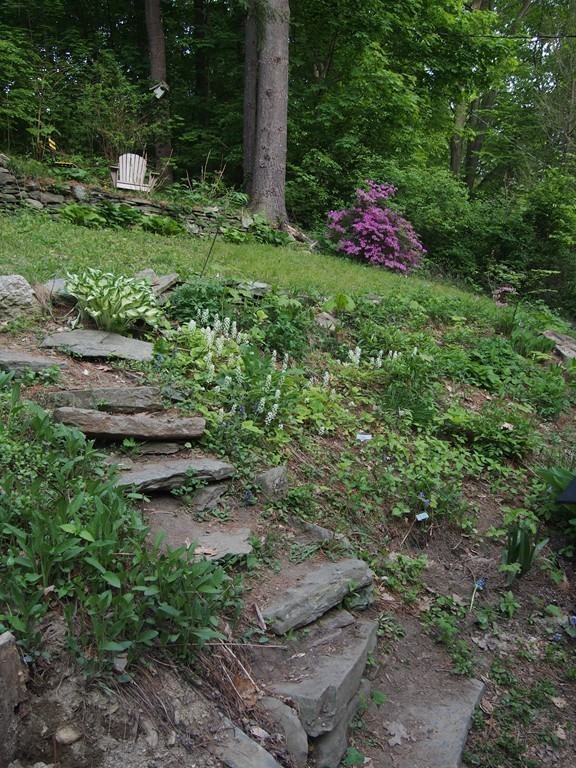 78 Beaconsfield Road Worcester, MA 01602 - Photo 28 of 30 a backyard of a house with lots of green space