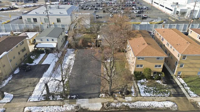 a view of road with large trees