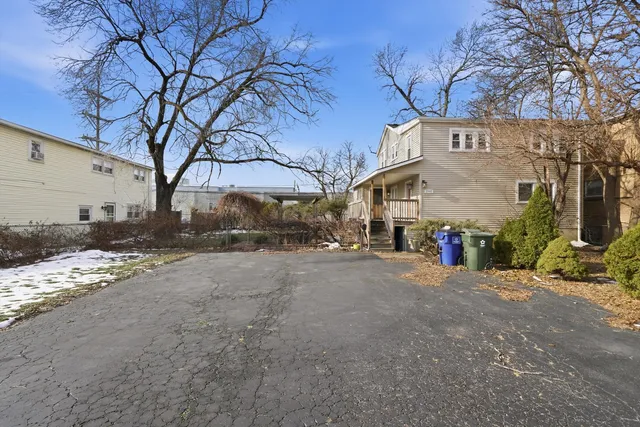 a view of road with large trees