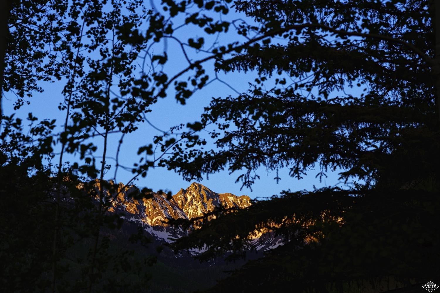 1944 Sunburst Drive, Unit A&B Vail, CO 81657 - Photo 29 of 37 a picture of tree