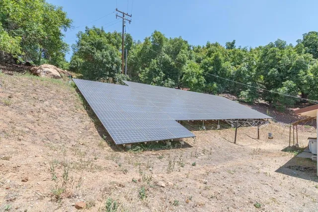 a view of a dirt road with large trees