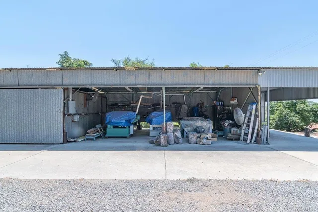 a view of a yard with a tree