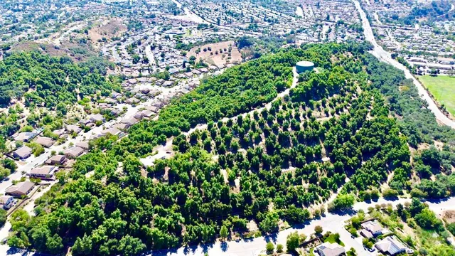 an aerial view of residential house and green space