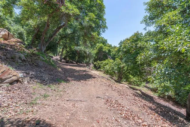a view of outdoor space and trees