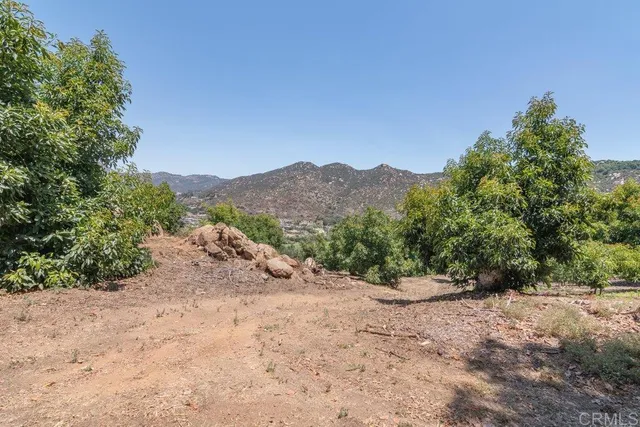 a backyard of a house with lots of green space and mountain view in back