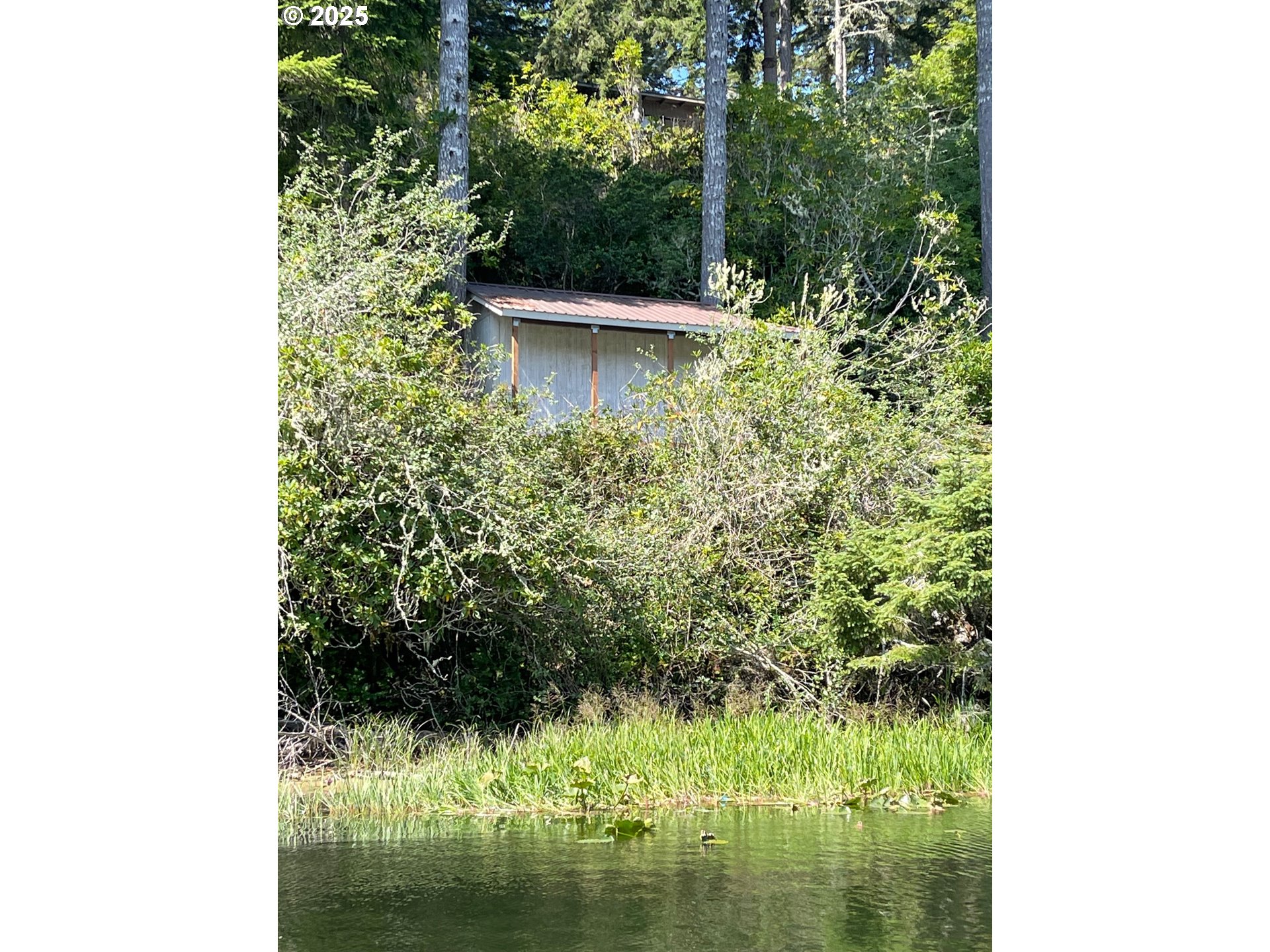 88921 Bayberry Lane Florence, OR 97439 - Photo 6 of 10