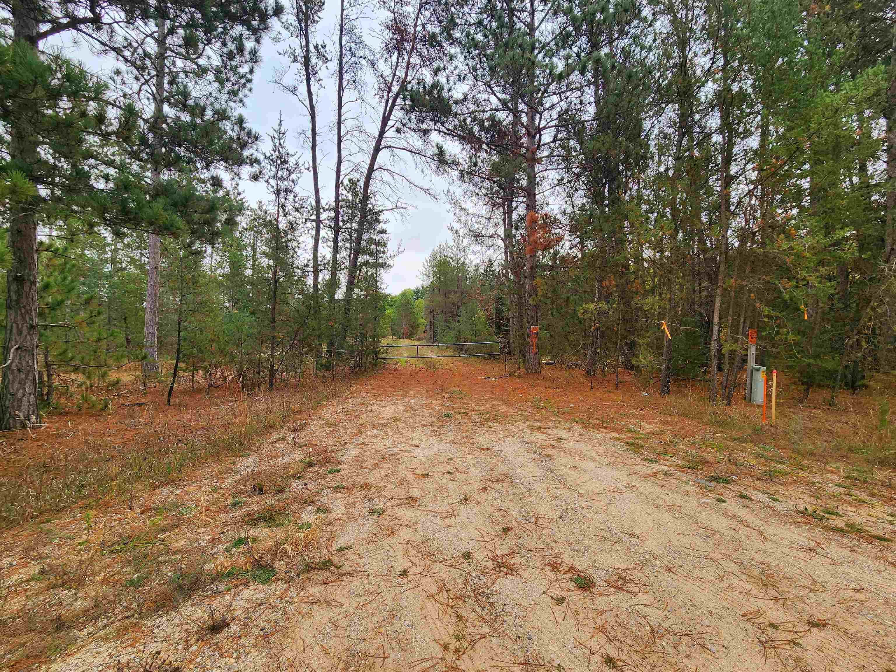 0 Niemi Road Kaleva, MI 49645 - Photo 16 of 23