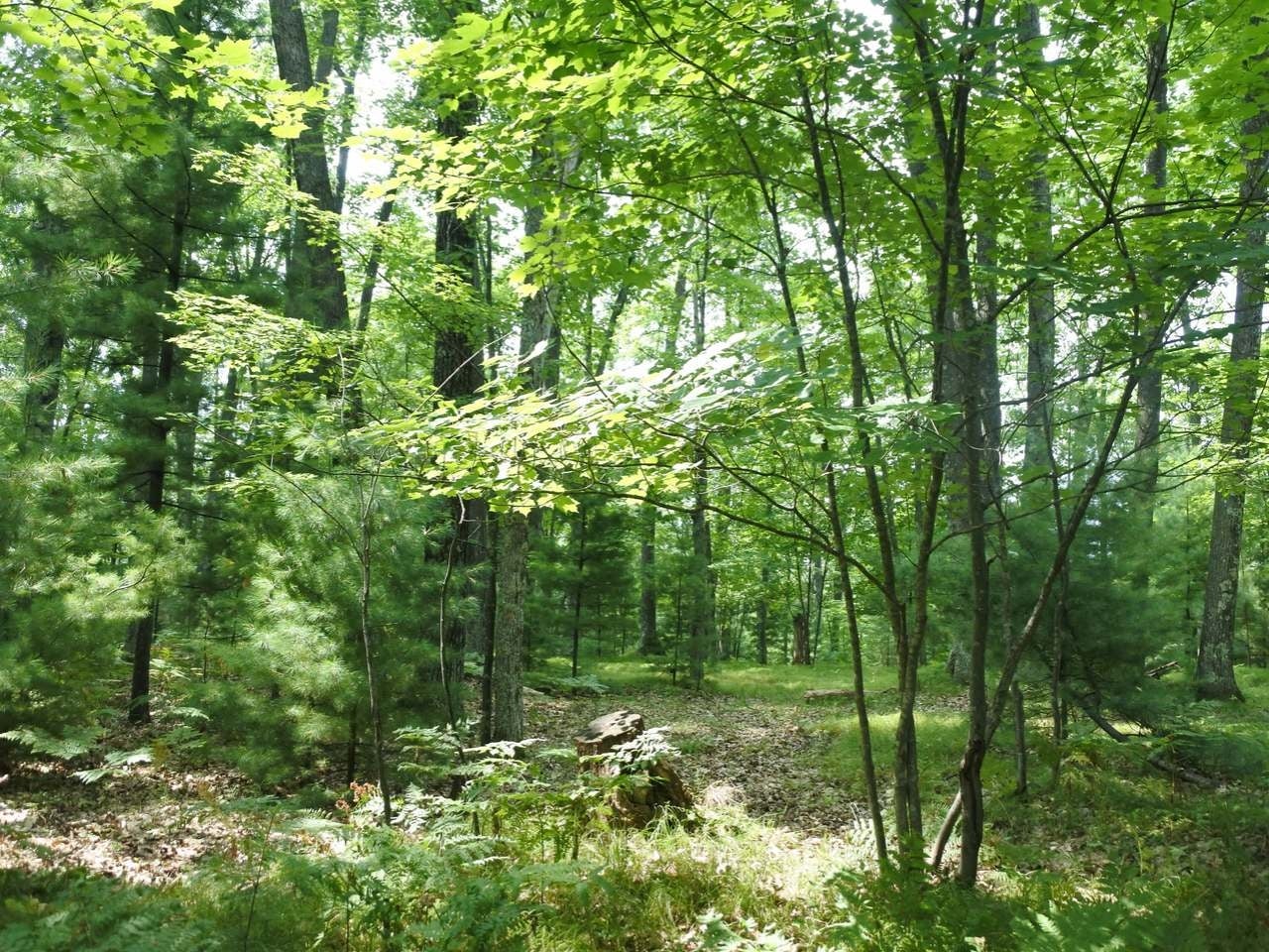 Lot A Egtvedt Road Woodruff, WI 54568 - Photo 14 of 30 Gallery Image 14