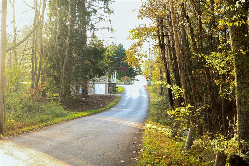 1021 Leesburg Station Road Mercer, PA 16137 - Photo 34 of 45 a view of a park with large trees