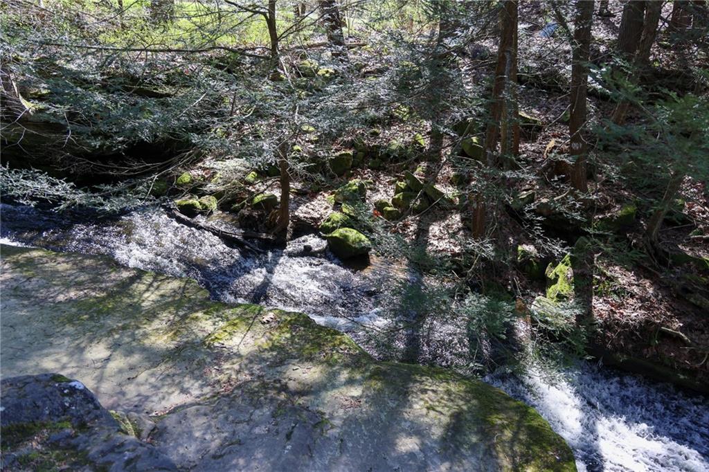 1021 Leesburg Station Road Mercer, PA 16137 - Photo 44 of 45