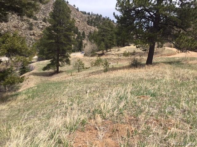 145 North Fork Road Grant, CO 80448 - Photo 3 of 12 Gallery Image 3