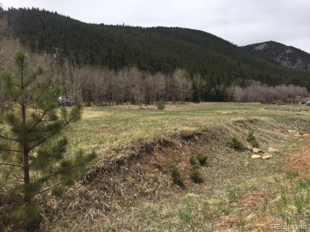 145 North Fork Road Grant, CO 80448 - Photo 4 of 12 Gallery Image 4