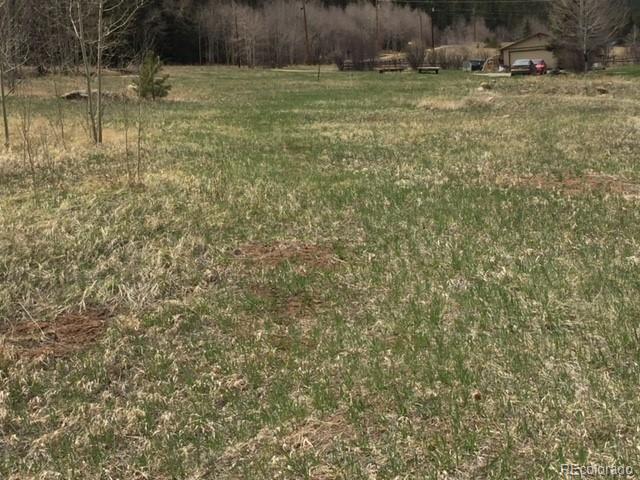 145 North Fork Road Grant, CO 80448 - Photo 8 of 12 Gallery Image 8